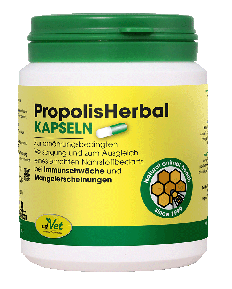 Kapseln, Propolis, Immunstärkung, Tiergesundheit, Vitamin-Mitnahme