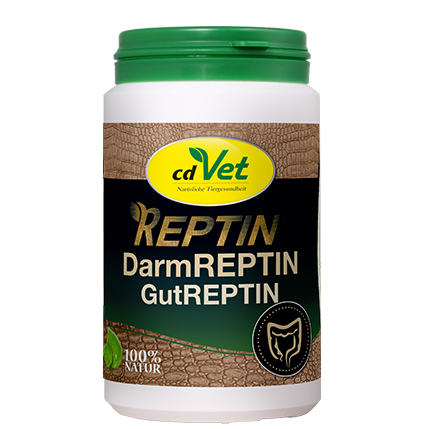DarmREPTIN 180 g -sorbe-