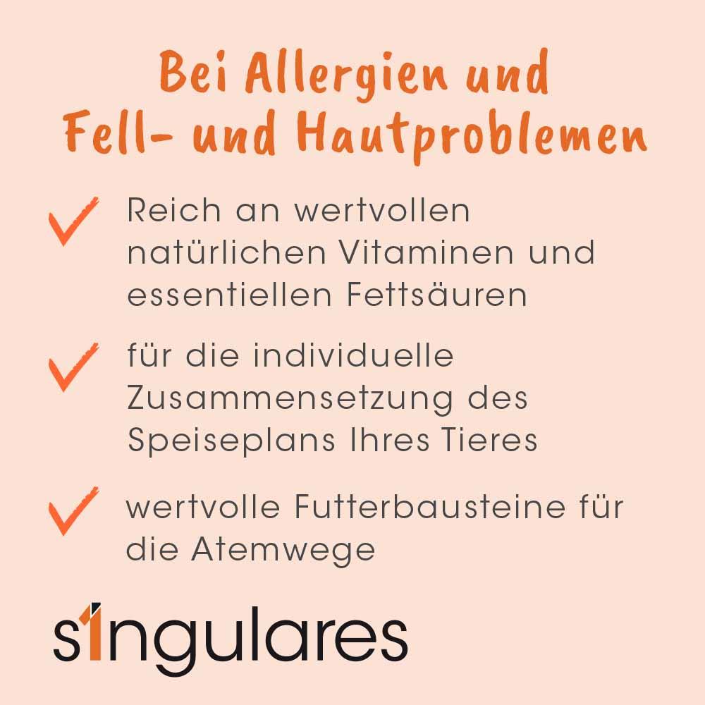 Werbung, Plakat, Seite, Text