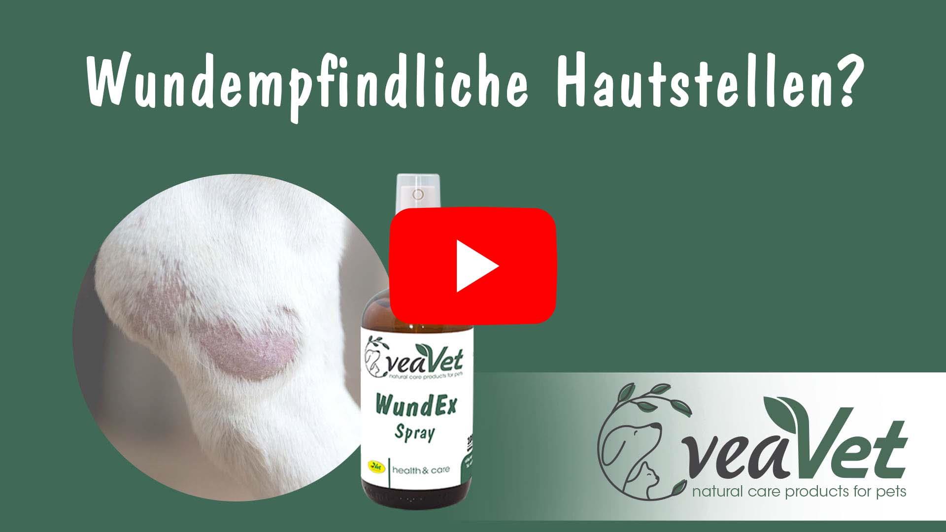 VeaVet WundEx Spray 50 ml