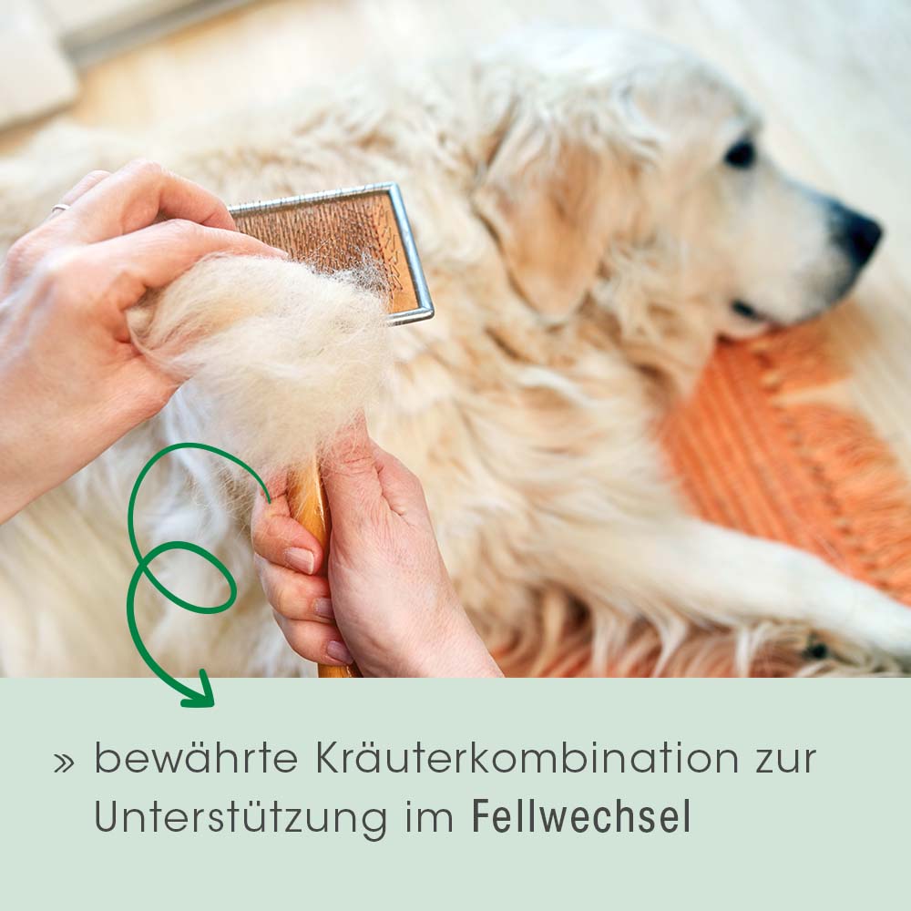 Fell & Haut Vital Hund & Katze 3 kg