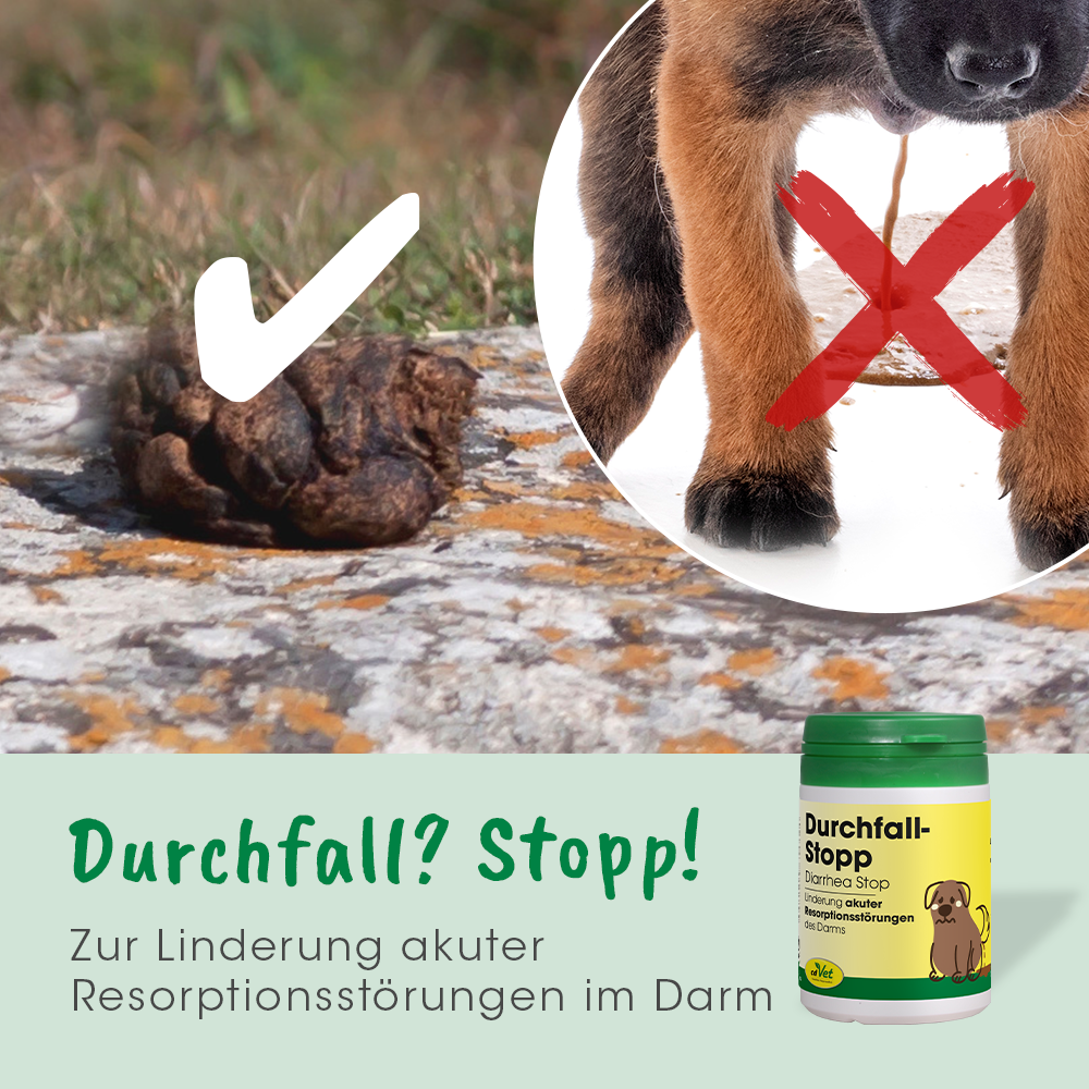 DurchfallStopp 100 Kapseln